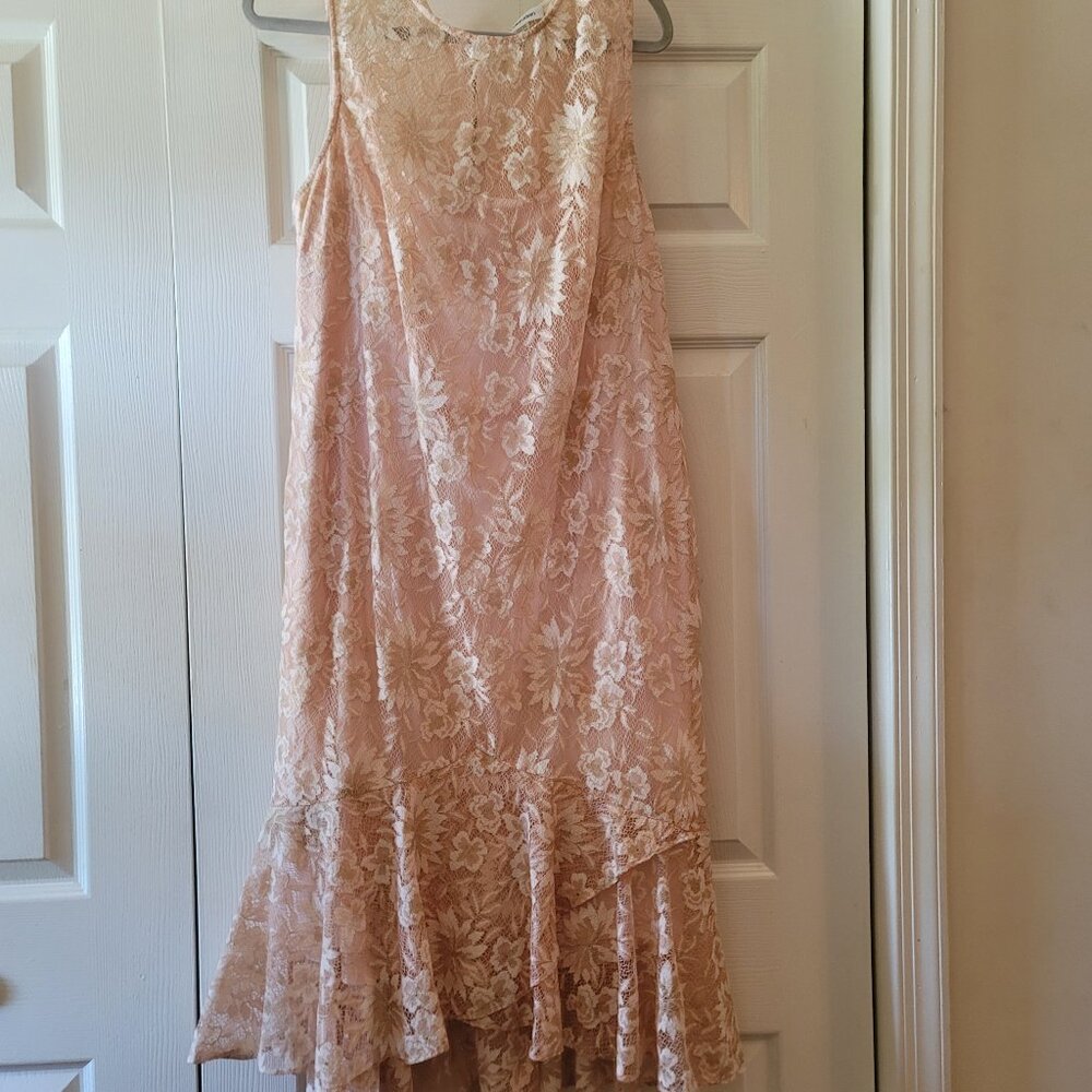 Calvin Klein Lace Dress (NWT)